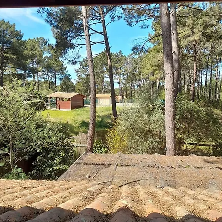 La Maison Sous Les Pins Lacanau